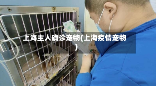 上海主人确诊宠物(上海疫情宠物)