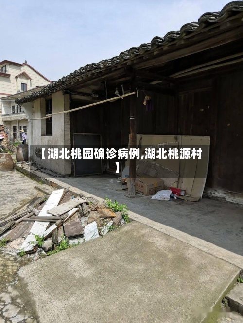 【湖北桃园确诊病例,湖北桃源村】