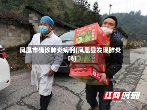 凤凰市确诊肺炎病例(凤凰县发现肺炎吗)