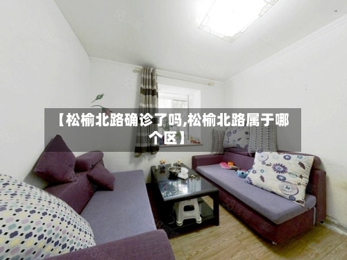 【松榆北路确诊了吗,松榆北路属于哪个区】