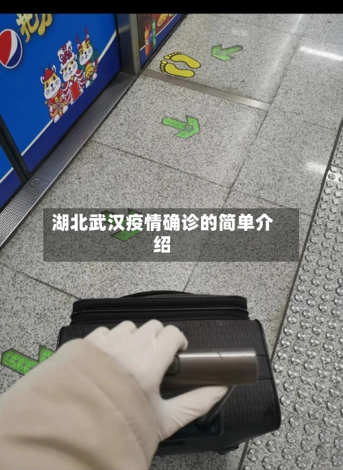 湖北武汉疫情确诊的简单介绍