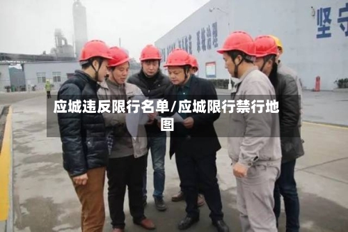 应城违反限行名单/应城限行禁行地图