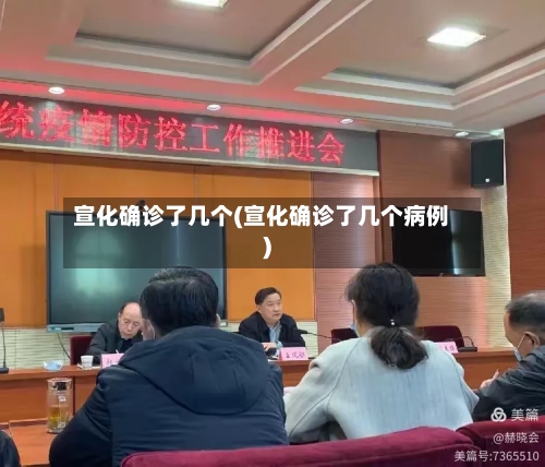 宣化确诊了几个(宣化确诊了几个病例)