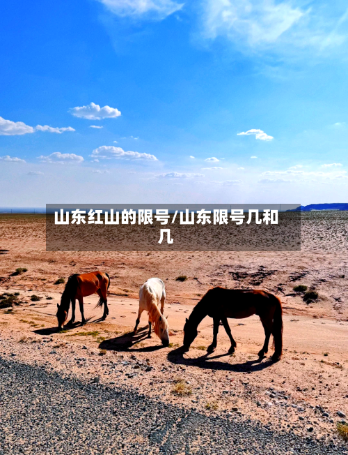 山东红山的限号/山东限号几和几