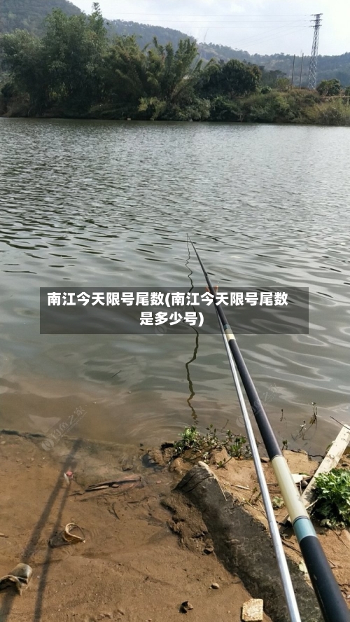 南江今天限号尾数(南江今天限号尾数是多少号)