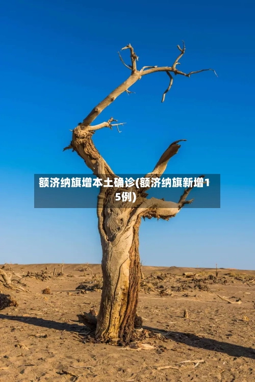 额济纳旗增本土确诊(额济纳旗新增15例)