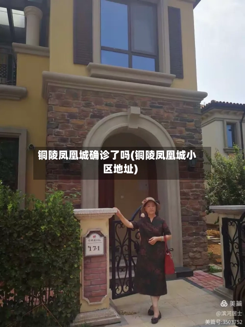 铜陵凤凰城确诊了吗(铜陵凤凰城小区地址)
