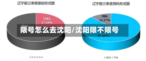 限号怎么去沈阳/沈阳限不限号
