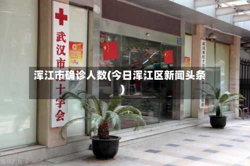 浑江市确诊人数(今日浑江区新闻头条)