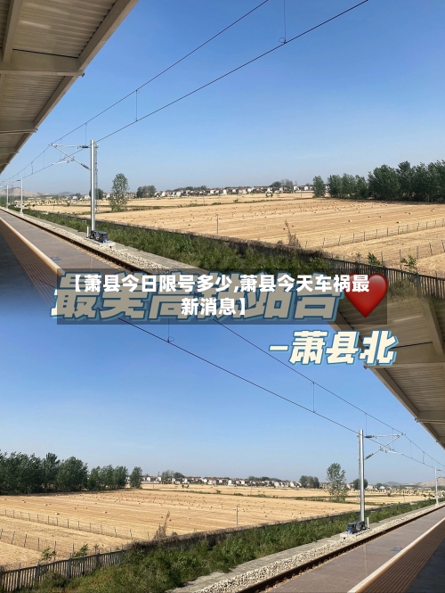 【萧县今日限号多少,萧县今天车祸最新消息】