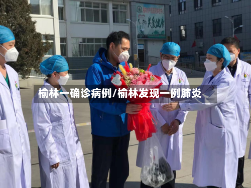 榆林一确诊病例/榆林发现一例肺炎