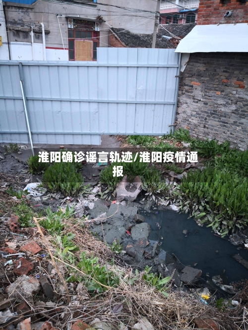 淮阳确诊谣言轨迹/淮阳疫情通报