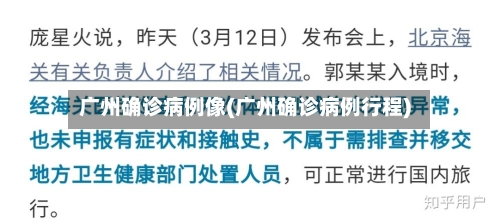 广州确诊病例像(广州确诊病例行程)