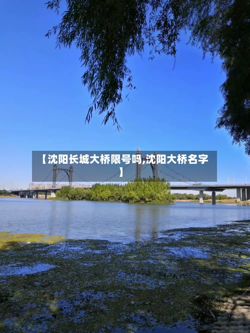 【沈阳长城大桥限号吗,沈阳大桥名字】
