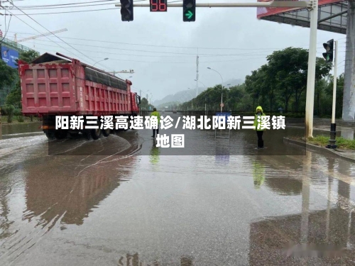 阳新三溪高速确诊/湖北阳新三溪镇地图