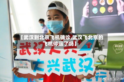 【武汉到北京飞机确诊,武汉飞北京的飞机停运了吗】