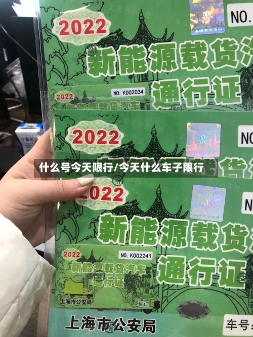 什么号今天限行/今天什么车子限行