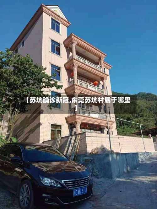 【苏坑确诊新冠,东莞苏坑村属于哪里】