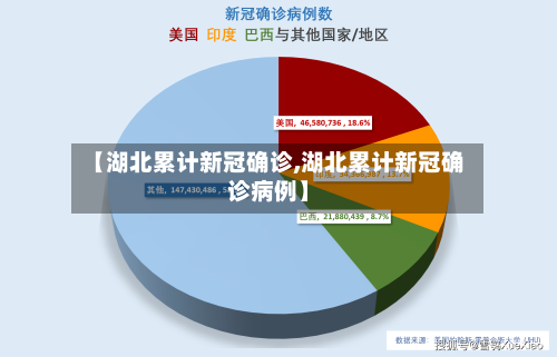【湖北累计新冠确诊,湖北累计新冠确诊病例】