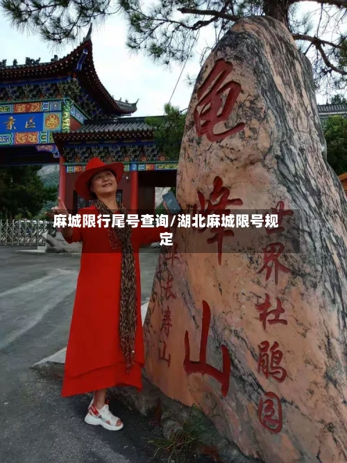 麻城限行尾号查询/湖北麻城限号规定