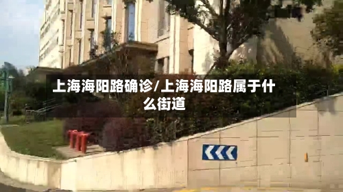 上海海阳路确诊/上海海阳路属于什么街道