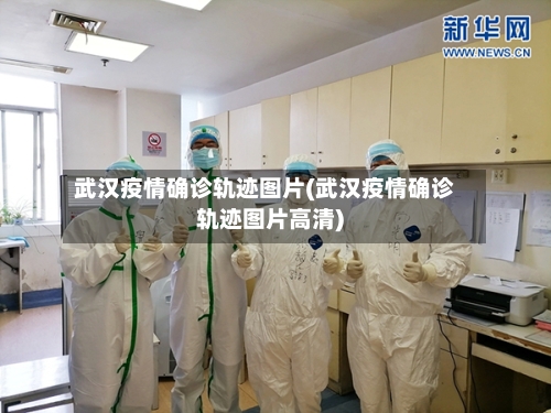 武汉疫情确诊轨迹图片(武汉疫情确诊轨迹图片高清)
