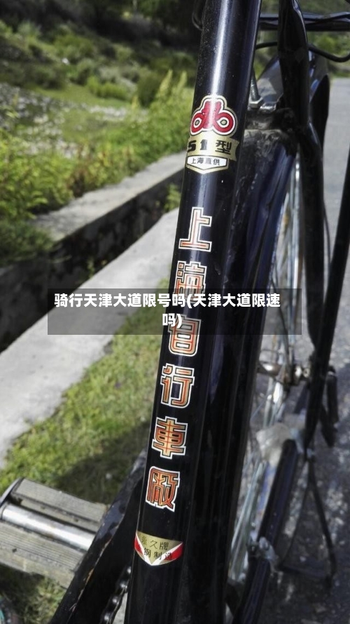 骑行天津大道限号吗(天津大道限速吗)