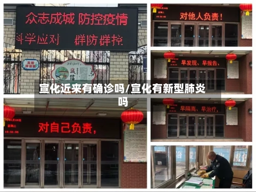 宣化近来有确诊吗/宣化有新型肺炎吗