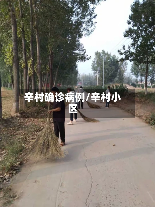 辛村确诊病例/辛村小区