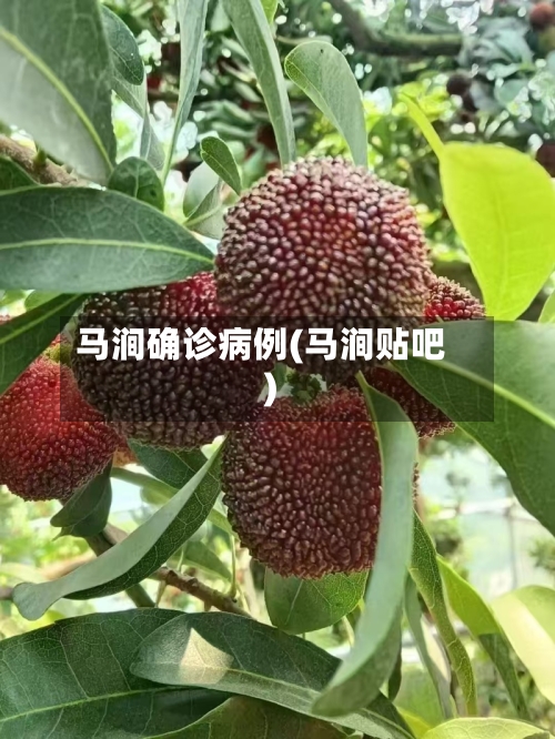 马涧确诊病例(马涧贴吧)