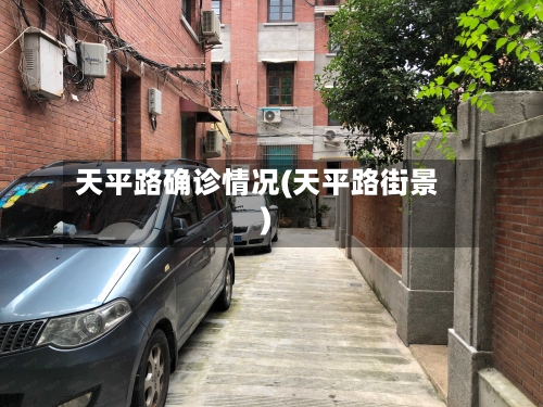天平路确诊情况(天平路街景)