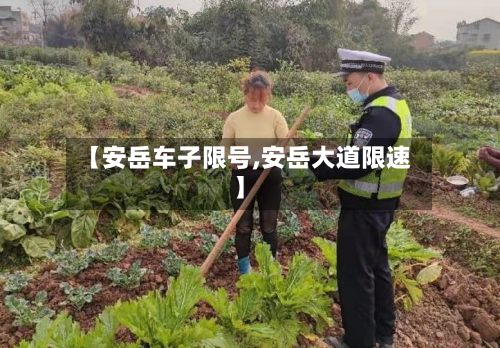 【安岳车子限号,安岳大道限速】