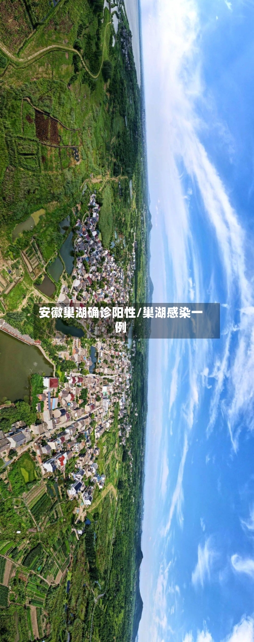 安徽巢湖确诊阳性/巢湖感染一例