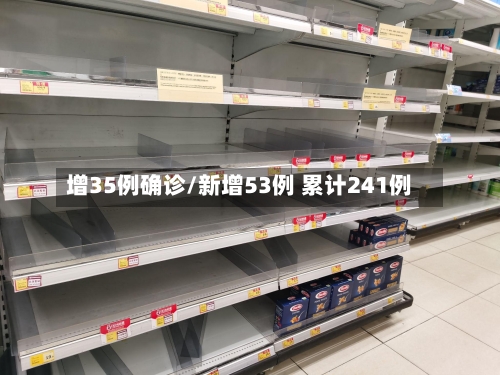 增35例确诊/新增53例 累计241例