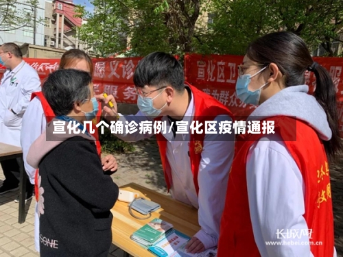 宣化几个确诊病例/宣化区疫情通报