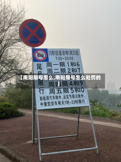 【南阳限号怎么,南阳限号怎么处罚的】