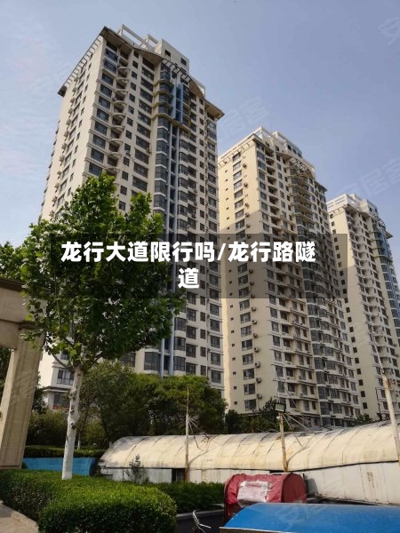 龙行大道限行吗/龙行路隧道