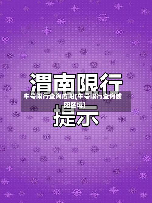 车号限行查询咸阳(车号限行查询咸阳区域)