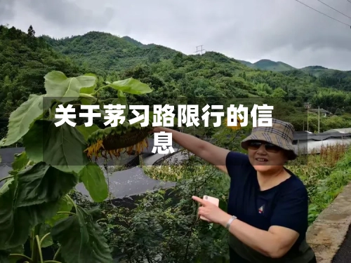 关于茅习路限行的信息