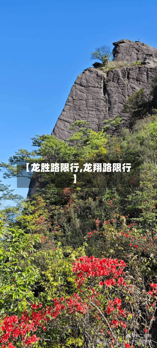 【龙胜路限行,龙翔路限行】