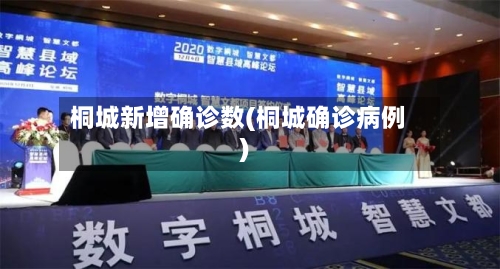 桐城新增确诊数(桐城确诊病例)