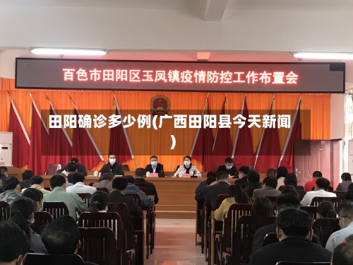 田阳确诊多少例(广西田阳县今天新闻)