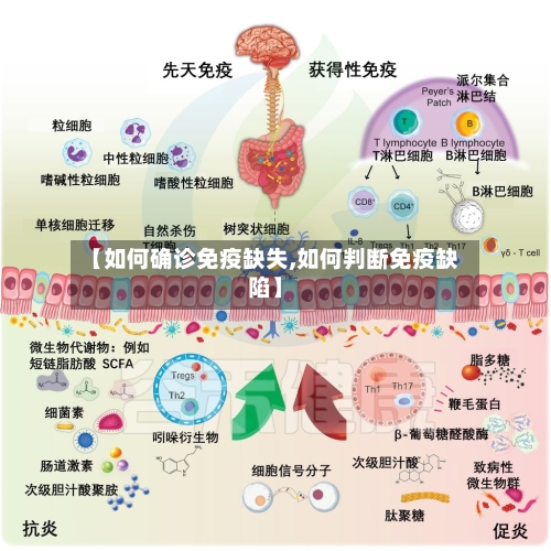 【如何确诊免疫缺失,如何判断免疫缺陷】