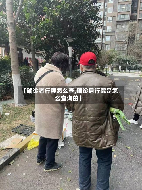 【确诊者行程怎么查,确诊后行踪是怎么查询的】