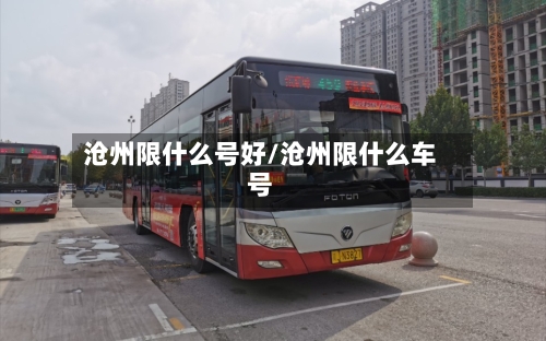 沧州限什么号好/沧州限什么车号