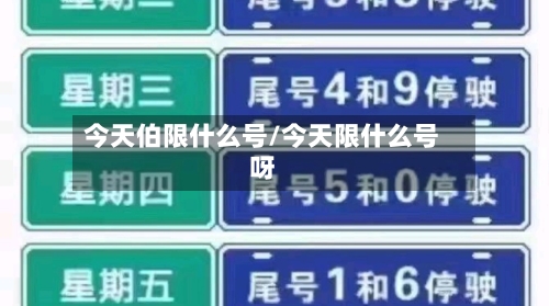 今天伯限什么号/今天限什么号呀