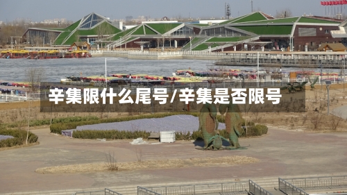 辛集限什么尾号/辛集是否限号