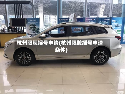 杭州限牌摇号申请(杭州限牌摇号申请条件)
