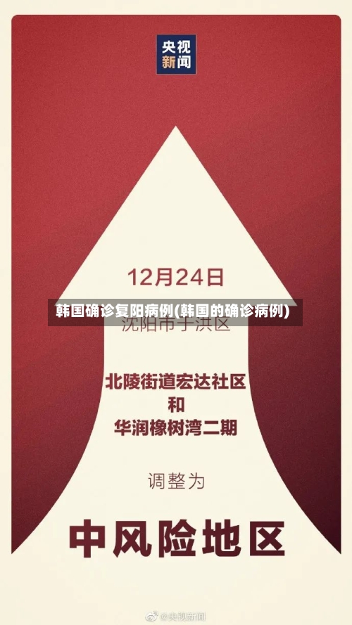 韩国确诊复阳病例(韩国的确诊病例)