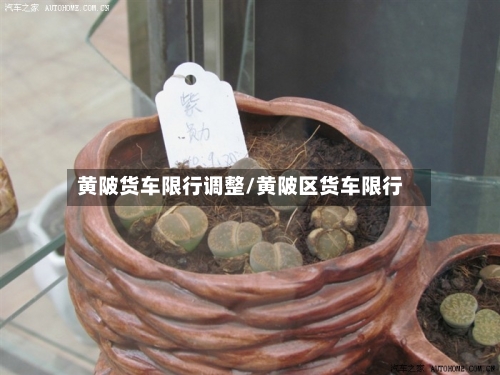 黄陂货车限行调整/黄陂区货车限行